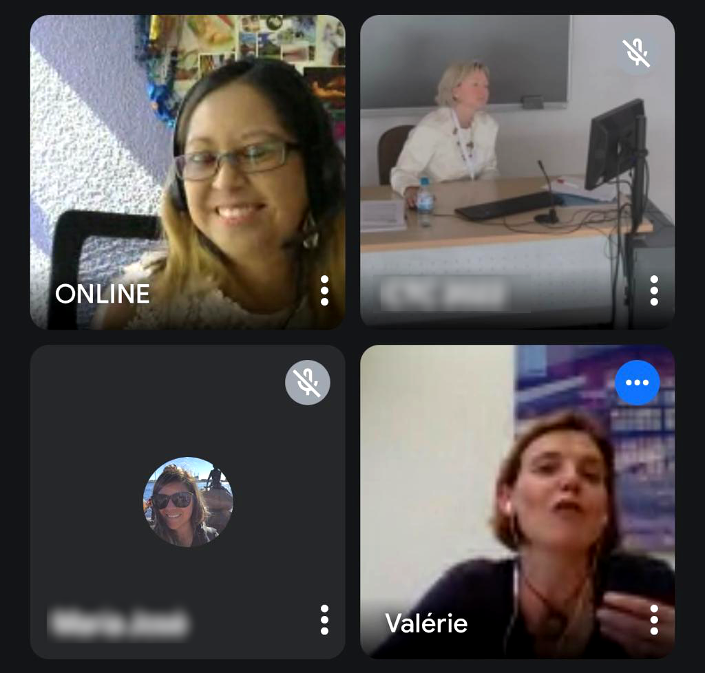 Online English lesson
